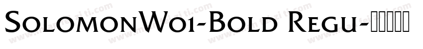 SolomonW01-Bold Regu字体转换